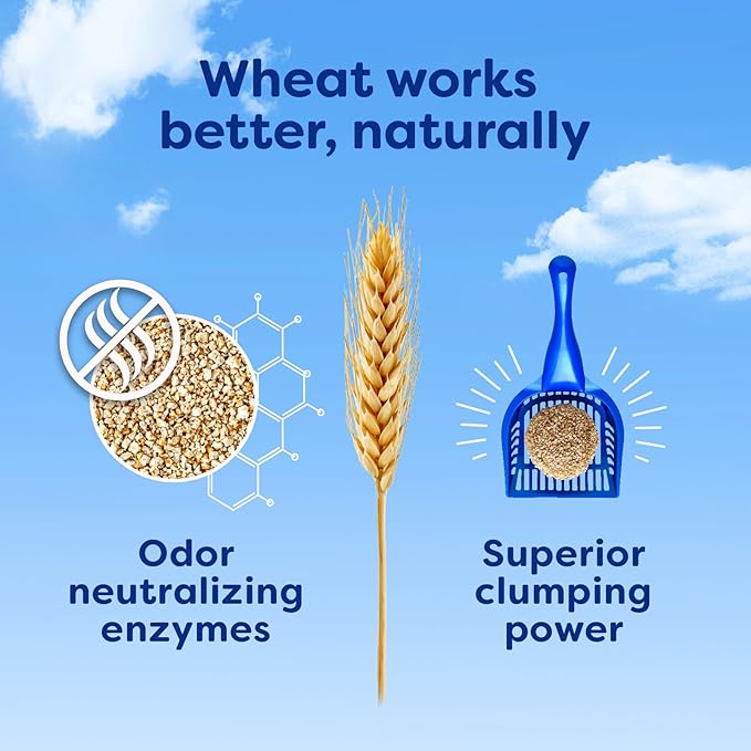 sWheat Scoop Natural Wheat Cat Litter, Original, Fast Clumping with Odor Neutralizing Enzymes, 25 Pound Bag