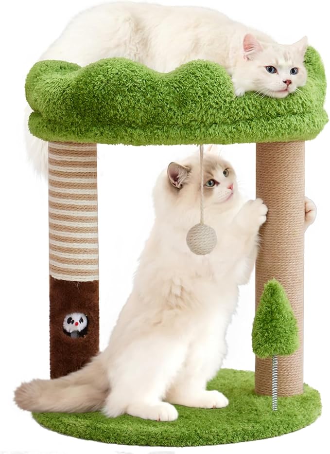 Small Cat Tree with Perch Cat Bed and Removable Cover 23 inch Tall Cat Tower with 2 Scratching Sisal Scratching Posts and Cat Toys for Kittens and Adult Cats（Green）