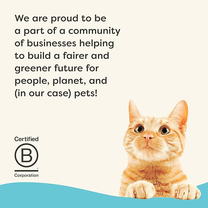 Applaws Vitality Wet Cat Food in Broth, Natural Cat Food with Added Vitamins & Minerals, Grain-Free, Carrageenan Free, Tuna Fillet in Broth (24 Count, 5.5oz Cans)