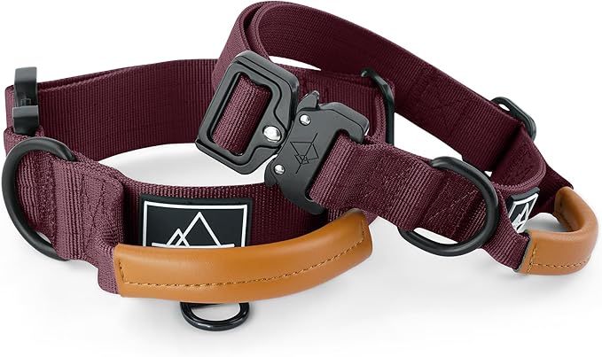 Made to ROAM Premium Explorer Control Collar - Adjustable Heavy Duty Nylon Dog Collar with Quick-Release Metal Buckle and Leather Handle (Vermont Weekends, Size 2, Control)