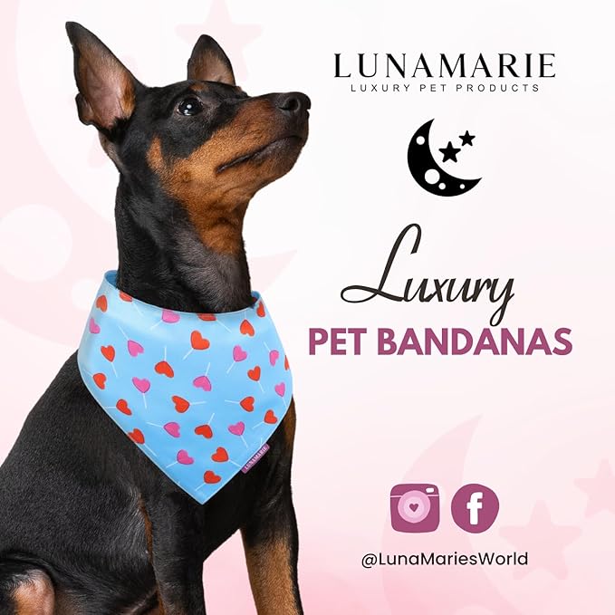 LunaMarie - Luxury Pet Birthday Bandanas -Premium & Silky Poly Fabric | 100% Handmade | Custom Shape Dual Layered (LoviePop, Medium)