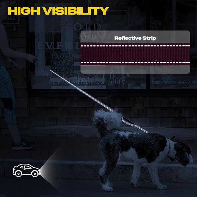 Fida 10ft Heavy Duty Dog Leash with 2 Comfortable Padded Handles, Traffic Handle & Advanced Easy Snap Hook, Reflective Walking Lead for Large, Medium & Small Breed Dogs, Rose