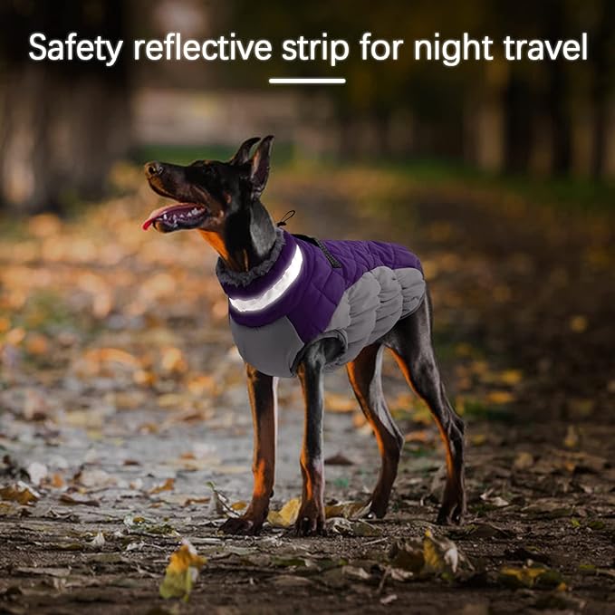 Dog Jackets for Medium Dogs,Medium Dog Coat,Warm Pet Winter Coat Zip Up Back,Waterproof Dogs Jacket with D-Ring,Pet Cold Weather Coats with Fleece Lined, Snowsuit Pug Boston Terrier,Purple,M