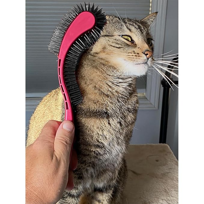 Cat Brush, Pink. Designed for Comfort, Created for Results. This innovative grooming brush features multi contoured shapes that gently adapt to your cats body for stress free grooming.