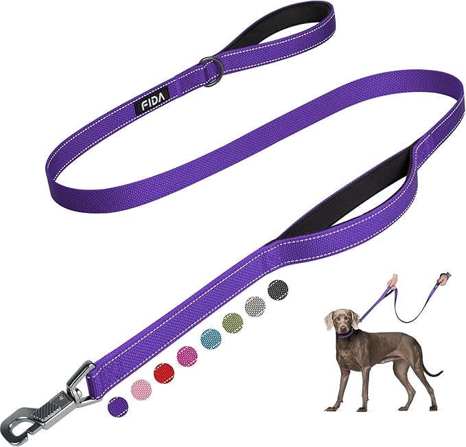 Fida 5 FT Heavy Duty Dog Leash with 2 Comfortable Padded Handles, Traffic Handle & Advanced Easy Snap Hook, Reflective Walking Lead for Large, Medium & Small Breed Dogs, Purple