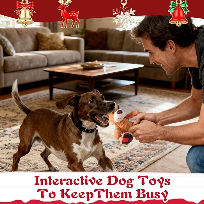 Christmas Squeaky Dog Toys for Large Dogs, Interactive Tug of War Bear to Keep Them Busy - XMS Bear with Crinkle Paper for Puppy Small Medium Large Dogs