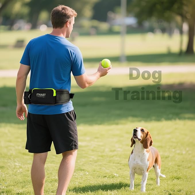 Hands Free Dog Leash for Medium Large Dogs, Waist Support Padded Bungee Dog Running Leash with Reflective Stitching for Walks, Jogging, Running, Hiking, and Dog Training