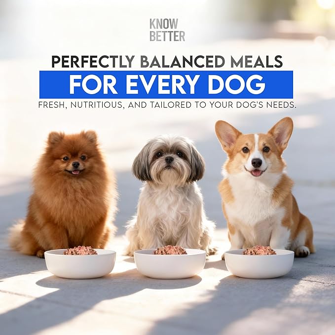 Know Better for Dogs Raw Mix Dog Food - Holistic Vet Approved Supplements for Dogs w 100% Human Grade Ingredients, No Additives/Grain Free - Premix Dog Supplement Powder for Homemade Dog Food, Beef