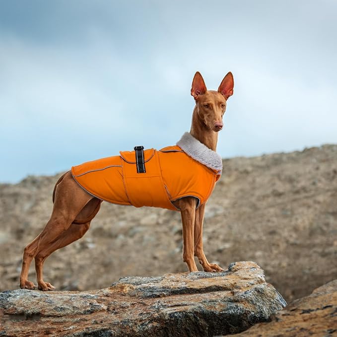 Lelepet Dog Coat Waterproof Dog Jacket Reflective Fleece Vest with Adjustable Buckle & Leash Hole Windproof Cold Weather Coats for Small Medium Large Dogs, Warm Hunting Vest, Orange, S