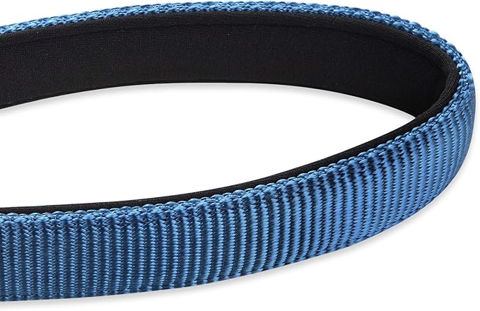 Hyhug Pets 24” Heavy Duty Nylon Short Leash with Comfortable Handle and Lightweight Aviation Aluminium Clip Lead- for Large Medium Dogs Daily Walking&Training. (24 Inches, Classic Blue)