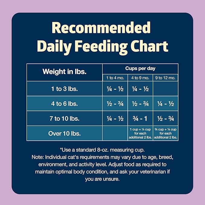 Blue Buffalo Freedom Grain-Free Indoor Dry Kitten Food with DHA, Complete & Balanced Nutrition for Kittens, Chicken Recipe, 5-lb. Bag