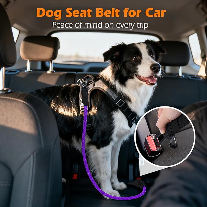 PetBonus Dog Seat Belt for Car, Durable Rope Dog Car Harness Seatbelt for Vehicle, Pet Tether Safety Restraint with Heavy Duty Buckle Hook Latch Lockable Clip for Small Medium Large Breeds (Purple)