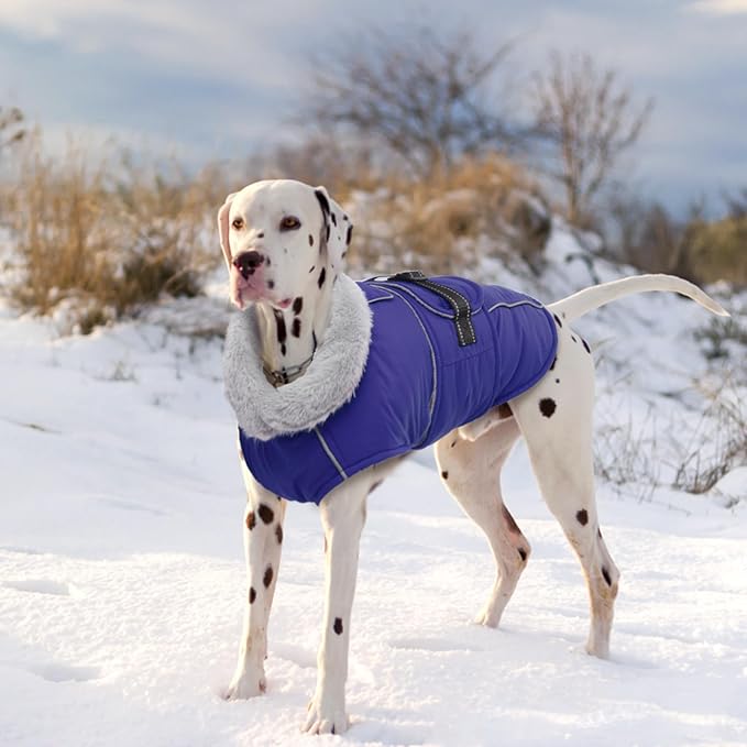 Lelepet Warm Dog Winter Coat Waterproof Dog Jacket with Adjustable Buckle & Leash Hole Reflective Pet Fleece Snowsuit Turtleneck Windproof Cold Weather Coats, Blue, M