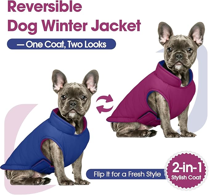 QBLEEV Reversible Dog Coat for Medium Dogs, Waterproof Windproof Winter Jacket Keeps Dogs Warm in Snow, Adjustable Hook & Loop Lightweight Dog Puffer Vest, Purple, L – Fits French Bulldog