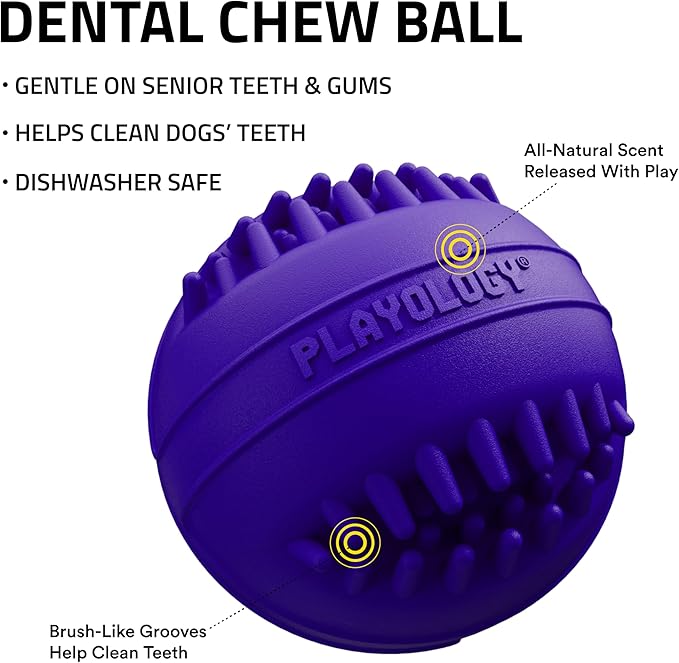 Playology Dog Toys | Dental Chew Ball Gentle on Gums | Medium Pork Sausage Scented Toy - Easy to Clean and Made from Non Toxic Materials