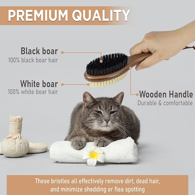 TAKAVU Double-Sided Boar Bristle Cat Brush - Natural Grooming Tool for Gentle Cleaning, Shine & Reduced Loose Hair - Wood Handle Pet Brush