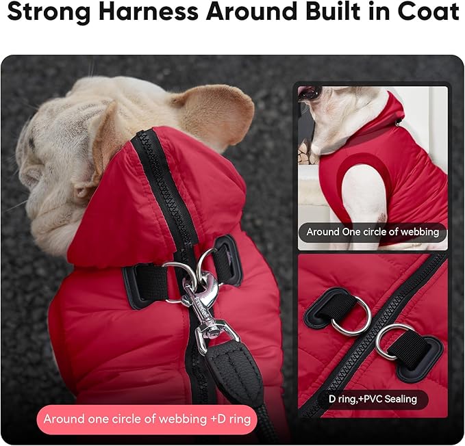 Fleece Lining Dog Hoodie with Harness Built in,Extra Warm Small Dog Jacket in Winter Puppy Coats with Hooded,Red S