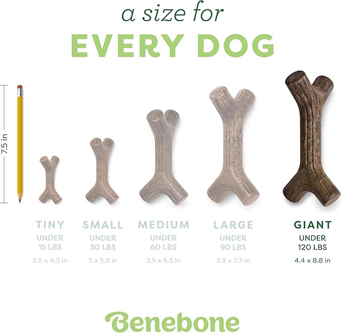 Benebone Bacon Stick Durable Dog Chew Toy for Aggressive Chewers, Real Bacon, Made in USA, Giant