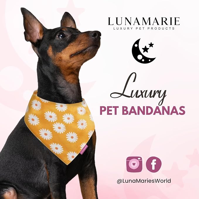 LunaMarie - Luxury Pet Birthday Bandanas -Premium & Silky Poly Fabric | 100% Handmade | Custom Shape Dual Layered (Daisies, Medium)