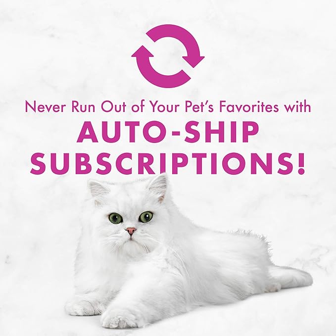 Purina Fancy Feast Tender Beef Feast Classic Grain Free Wet Cat Food Pate - (Pack of 24) 3 oz. Cans