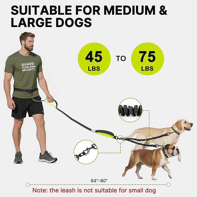 Hands Free Dog Leash for 2 Dogs, Waist Support Padded Bungee Dog Running Leash with Reflective Stitching for Walks, Jogging, Running, Hiking, and Dog Training