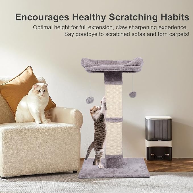 34" Tall Cat Scratching Post with Bed, Sisal Scratch Posts Trees with Plush Perch and Hanging Ball for Indoor Cats, Removable Cover, Large Scratch Post and Base, Rugged and Durable, Light Grey