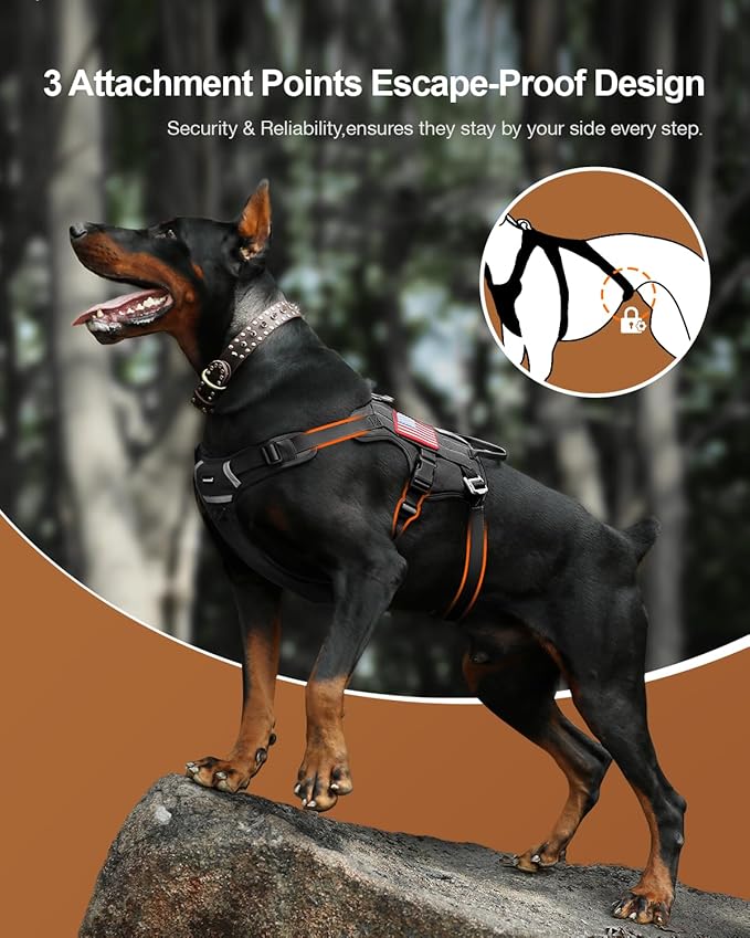 FAYOGOO Tactical Dog Harness for Large Dogs - Heavy Duty Dog Harness Escape Proof with Handle - No Pull Military Service Dog Vest with Removable Patches for Walking,Training,Hiking