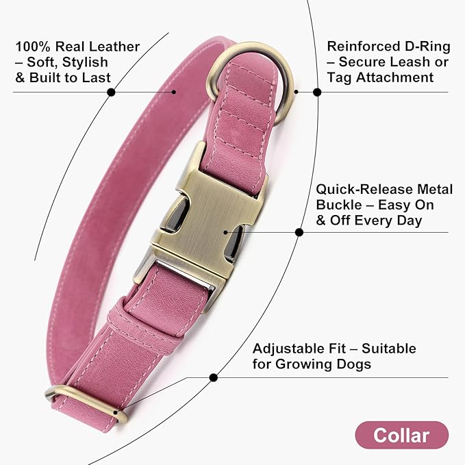Plutus Pet Genuine Leather Dog Collar – Adjustable Pet Collar with Quick Release Metal Buckle, Soft Real Leather for Small Medium Large Dogs, Heavy Duty & Skin-Friendly (Pink, S)
