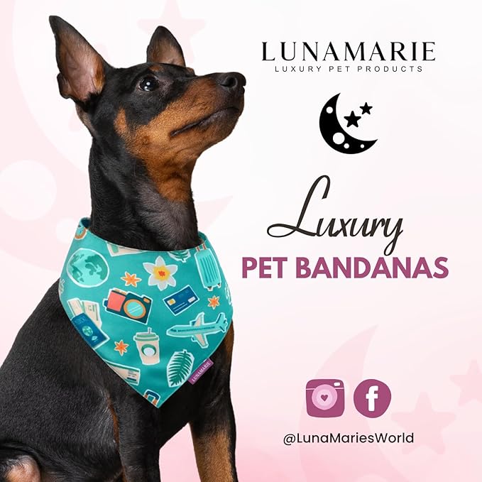 LunaMarie - Luxury Pet Birthday Bandanas -Premium & Silky Poly Fabric | 100% Handmade | Custom Shape Dual Layered (Pawsport Club, Medium)