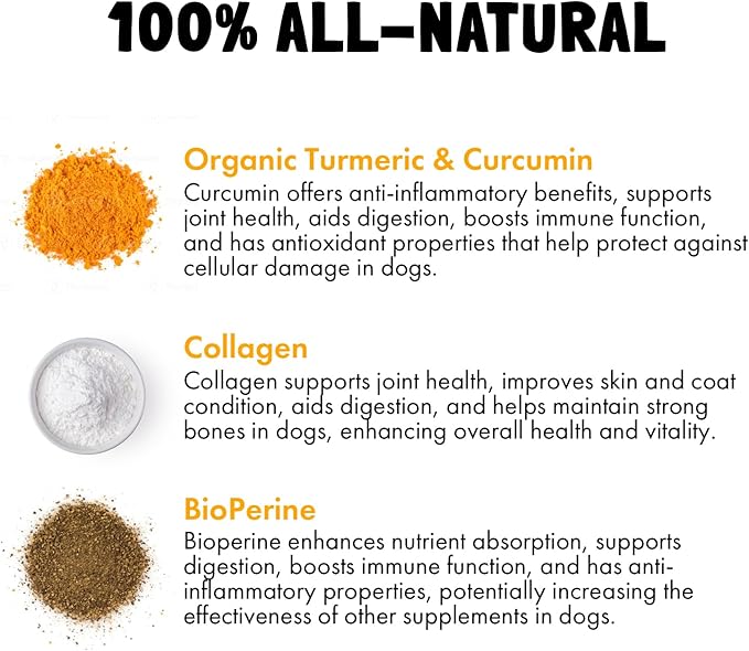 Turmeric Curcumin Hip & Joint Dogs Supplement Anti-Inflammatory Support for Arthritis & Mobility with Collagen & BioPerine Pain Relief Antioxidant Digestive Cardiovascular and Liver Health 120 Chews
