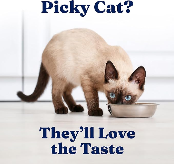 Solid Gold Wet Cat Food Shreds in Gravy - Canned Cat Food Made w/Real Tuna & Mackerel - Five Oceans Grain Free 16ct/6oz Can