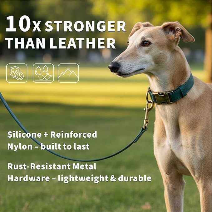Dog Collar and Leash Set, Silicone Leather Dog Collars Soft Flexible Waterproof & Odor Proof Dog Collar Durable Thick Adjustable Pet Collar for Medium Dogs (Green, Medium (11.5-18.5" Neck))