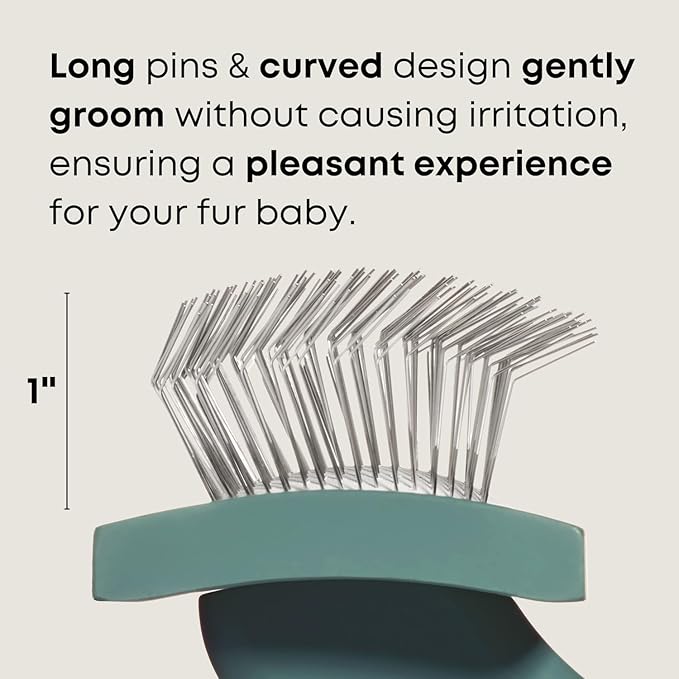 Freshly Bailey Doodle Brush for Goldendoodle, Poodle, and Labradoodle Coats - Best Slicker for Dogs With Wavy & Curly Hair - Detangle & Fluff Like a Pro - Grooming Must Haves (Small)