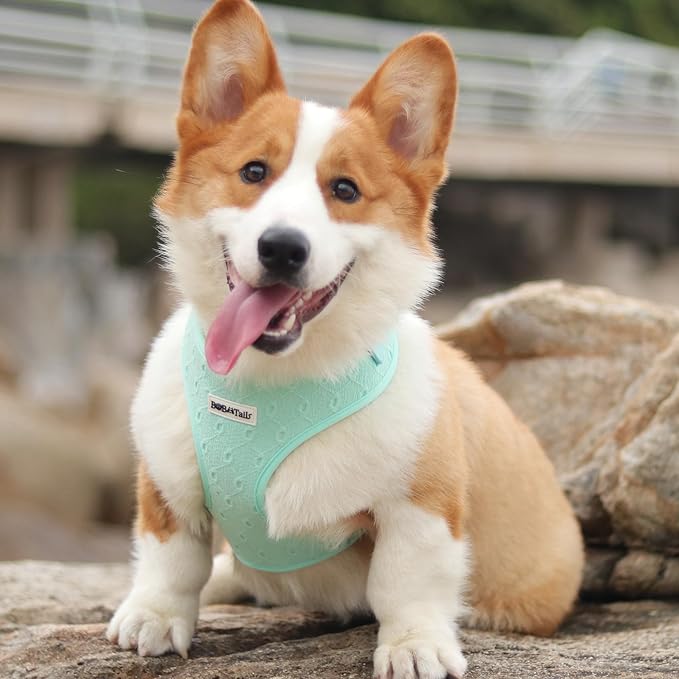 Silk Embroidery Dog Harness with D-Ring Leash Clip Set,Adjustable Soft Padded and Cotton Fabric Pet Vest for Medium and Small Dogs (Mint, Extra Small)