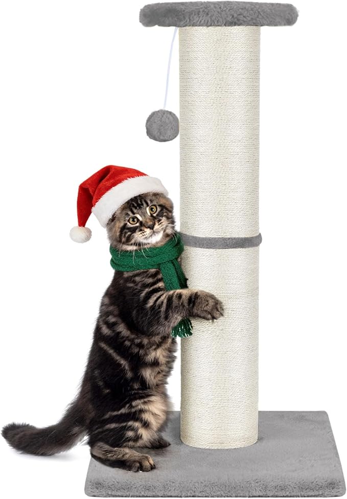 PAWSCRAT Cat Scratching Post 32" Tall, Large Diameter Natural Sisal Cat Scratch Post with Dangling Ball, Scratch-Resistant and Durable for Indoor Cats, Protect Your Furniture, LightGrey
