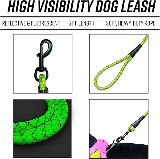 Noxgear LightHound (Small) + High-Visibility Dog Leash – Illuminated and Reflective Harness for Dogs Including Multicolored LED Fiber Optics (USB Rechargeable, Adjustable, Lightweight, Rainproof)