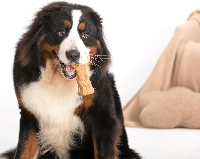 Willjoy Dog Chew Toys for Aggressive Chewers, Tough Dog Toys for Aggressive Chewers, Pine Wood and Nylon Indestructible Dog Toy, Bacon Flavor Large Dog Toys to Keep Them Busy