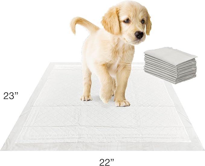 Four Paws Wee-Wee Super Absorbent Unscented Pee Pads for Dogs & Puppies with Insta-Rise Border, Leak-Proof Dog Housebreaking Potty Training Floor Protection, 22" x 23", 10 Count