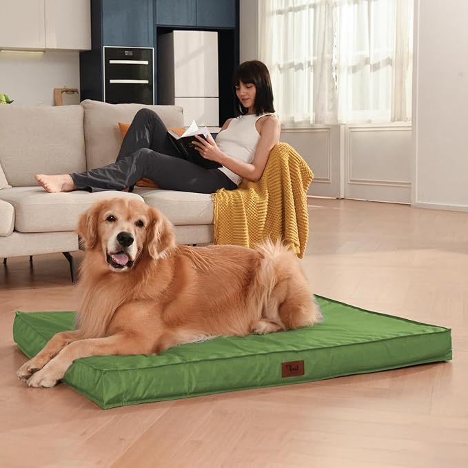 Outdoor Orthopedic Dog Bed, Waterproof Dog Bed for Large Dogs 36x27 Inch, Egg Crate Foam Pet Mat with Washable Removable Oxford Cooling Cover, Light Green
