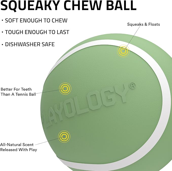 Playology Dog Toys | Squeaky Chew Ball - Bouncy Durable Floating Fetch Ball for Dogs | Jumbo Butternut Squash & Sage Scented Toy - Limited Edition Fall Collection | Made from Non Toxic Materials