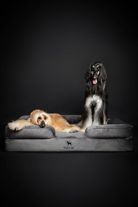 NOAH & PAW Giant Dog Bed XXL, 55x45x11 Inch, Orthopedic Dog Beds, Eggshell Memory Foam Infused with Cooling Gel, Inner Cover, Waterproof, Machine Washable (Velvet Sofa Collection)