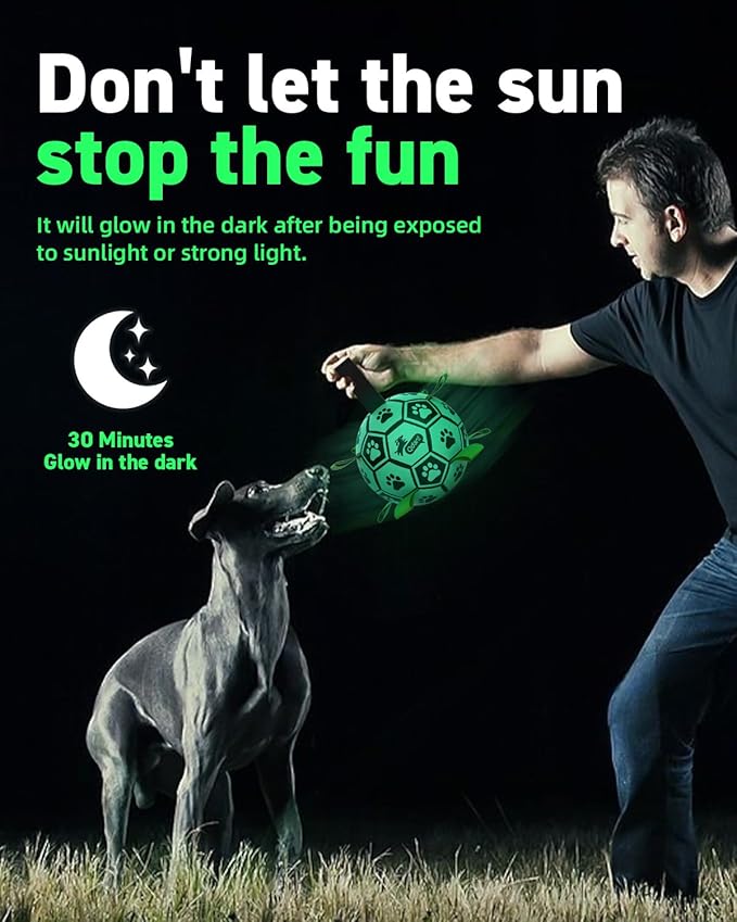 QDAN Dog Ball, Glow in The Dark Dog Toys, Light Up Soccer Ball for Dogs, Outdoor Dog Toys, Doggy Water Toy, Puppy Birthday Gifts for Medium Large (8 Inch)