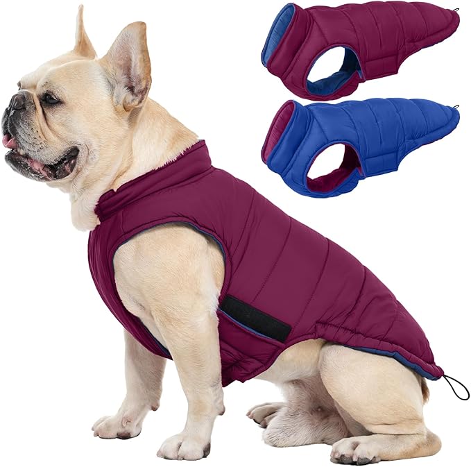 QBLEEV Reversible Dog Jacket for Small Dogs, Waterproof Windproof Warm Winter Coat with Adjustable Fit & Leash Hole, Lightweight Reversible Puffer Vest, Purple, S – Fits Yorkie, Shih Tzu