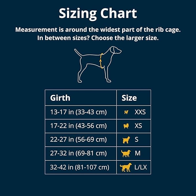 Ruffwear, Front Range Dog Harness, Reflective Soft Padded Everyday Harness with Dual Leash Clips, Adjustable and Lightweight Fit for Training or Walking for All Dogs, Moonlight Mountains, X-Small