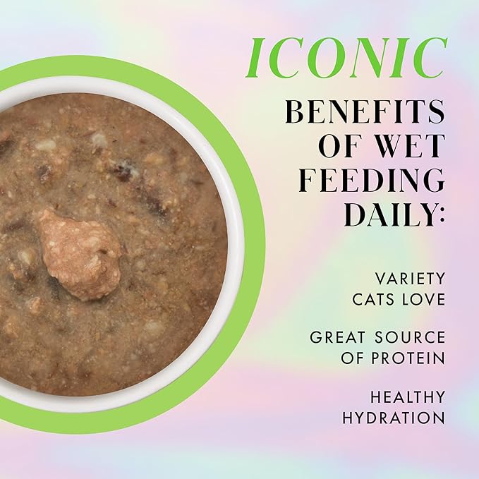 Weruva Paris Hilton Pamper Like Paris Wet Cat Food, Chicken and Lamb in Gravy, 2.47oz Pouch, Pack of 12