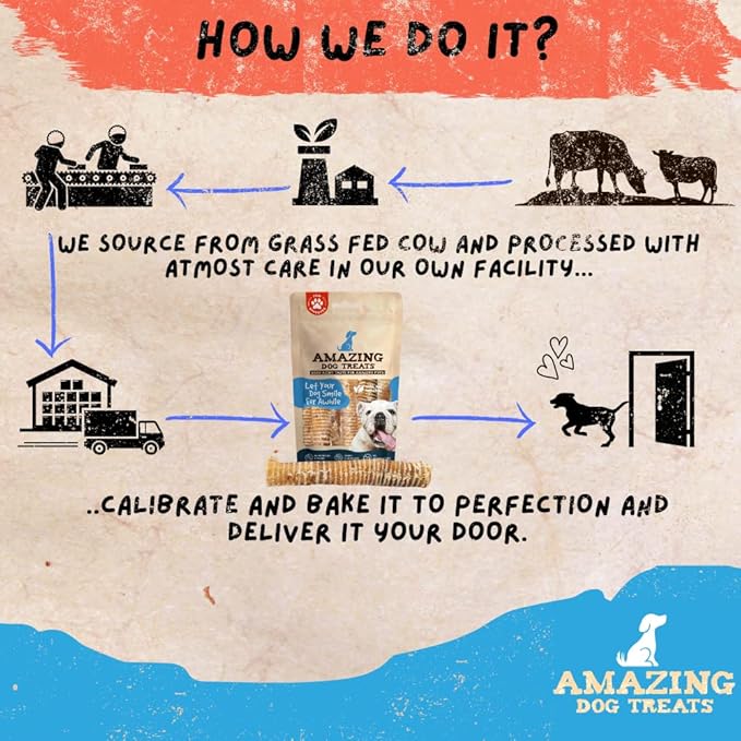 Amazing Dog Treats - 12 Inch Beef Trachea Chews for Dogs (10 pcs/pk) - 100% Natural Trachea Dog Treats - Excellent Source of Glucosamine - Natural Long Lasting Treats