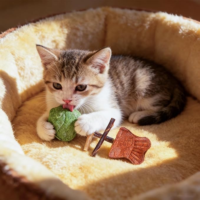 3PCS Creative Fish Bone Cat Toy,Purrident - Fix Your Cat’s Dental Health, Interactive Kitten Chew Toy Supports Teeth Cleaning & Oral Care, Durable Feline Tooth Care Tool