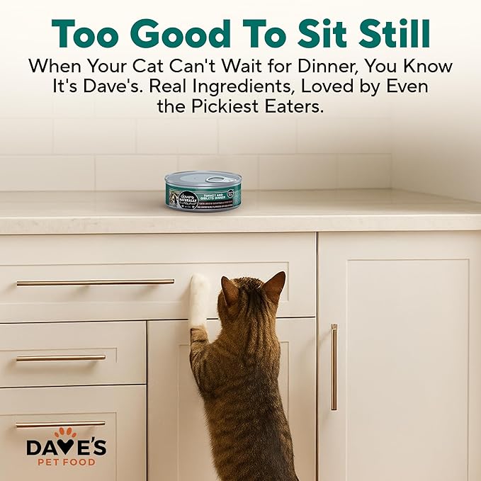 Dave's Pet Food Grain Free Wet Cat Food Gravy (Turkey & Giblets Dinner in Gravy), Made in USA Naturally Healthy Canned, Added Vitamins & Minerals, 5.5 oz Cans (24 Pack)