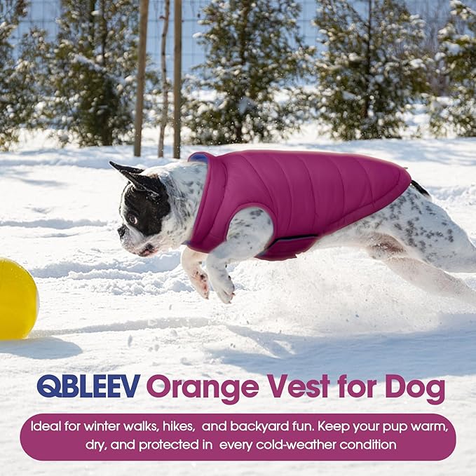QBLEEV Reversible Dog Jacket for Small Dogs, Waterproof Windproof Warm Winter Coat with Adjustable Fit & Leash Hole, Lightweight Reversible Puffer Vest, Purple, S – Fits Yorkie, Shih Tzu