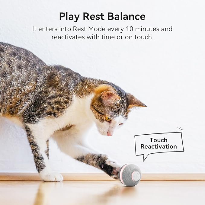 Cheerble Smart Interactive Cat Toy, Automatic Moving Bouncing Rolling Ball for Indoor Cat Kitten, Peppy Pet Ball with Lights and Bell, Grey